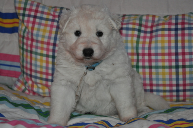 Fotos/Willow 2013/week 4/Owen4.jpg